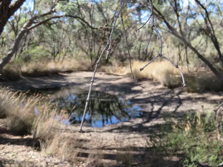 Main view of Homely rural property listing, Lot 23 Wallaby Way, Wedderburn VIC 3518
