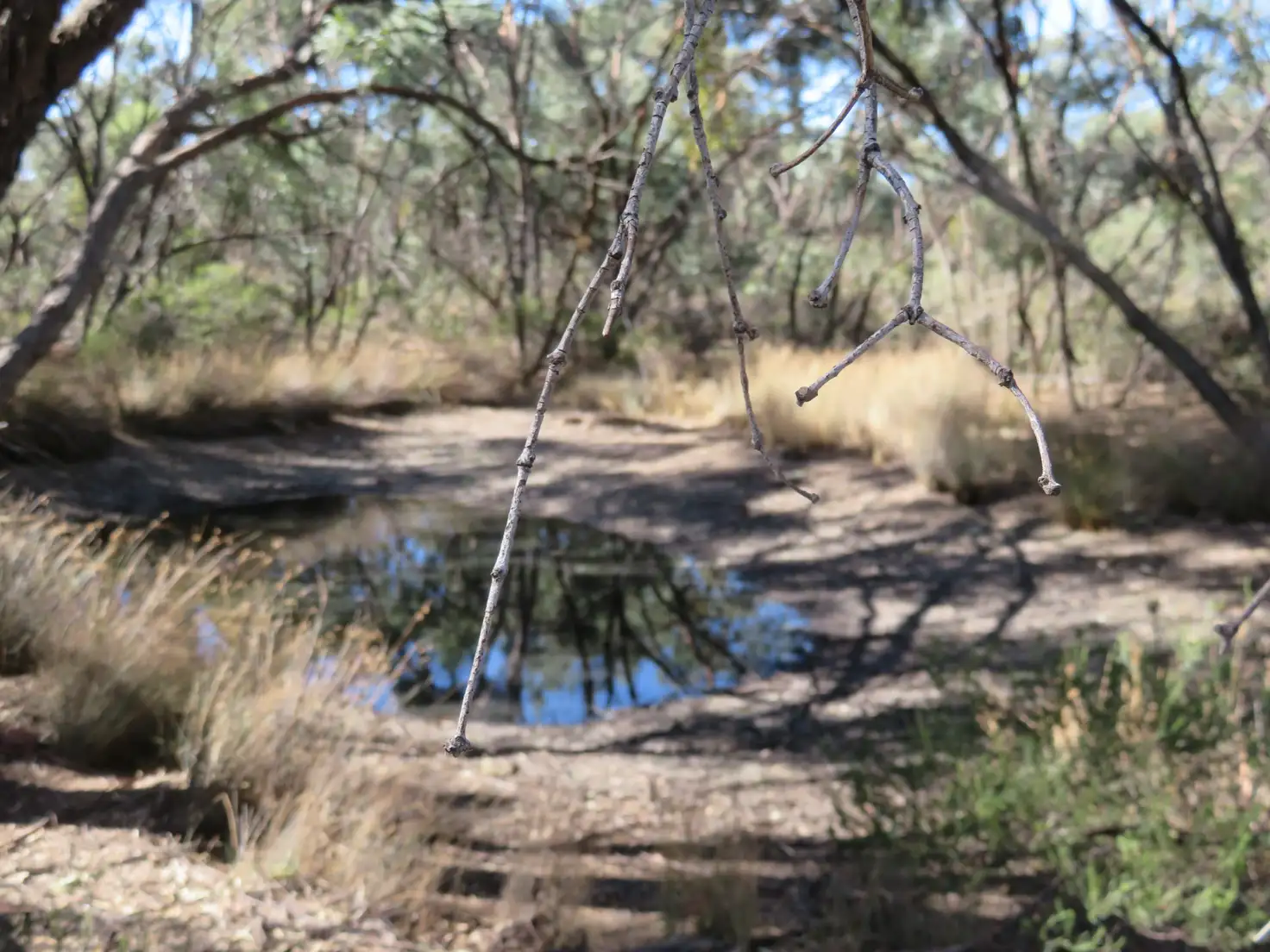 Main view of Homely rural property listing, Lot 23 Wallaby Way, Wedderburn VIC 3518
