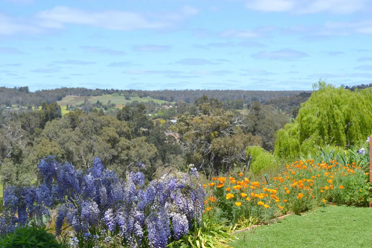 Main view of Homely house listing, 36 Eedle Terrace, Bridgetown WA 6255