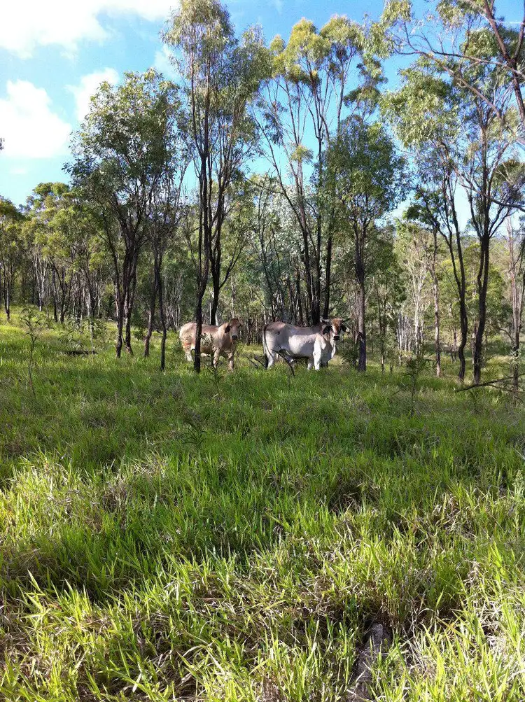 Sixth view of Homely rural property listing, 140 Limestone Road, Struck Oil QLD 4714