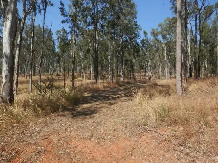Second view of Homely land listing, Cnr Plains Station Road And Olgilvy Drive, Tabulam NSW 2469