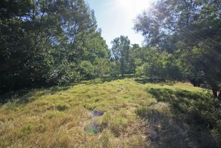 Sixth view of Homely rural property listing, 1169 Singleton Road, Wisemans Ferry NSW 2775