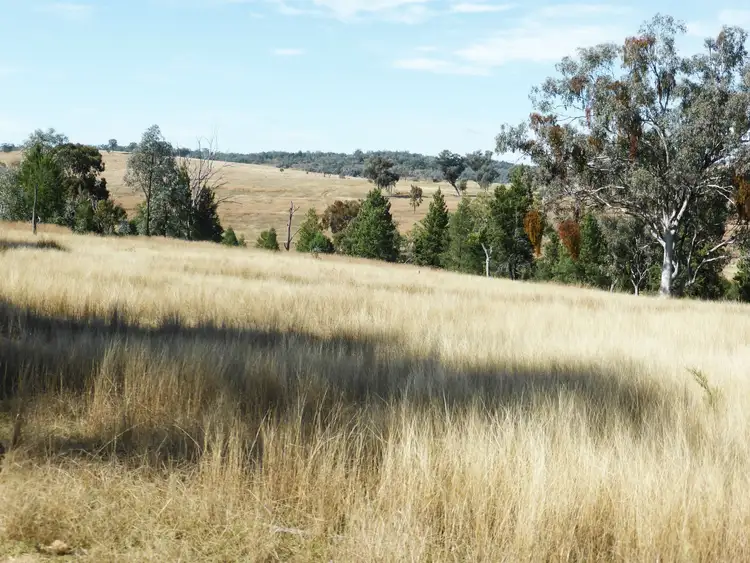 Second view of Homely rural property listing, Address available on request