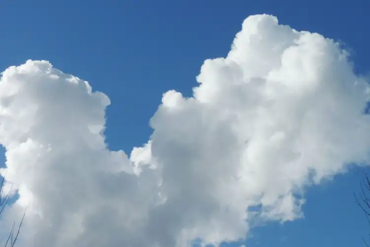 Sixth view of Homely house listing, 4/8 Main Street, Lobethal SA 5241