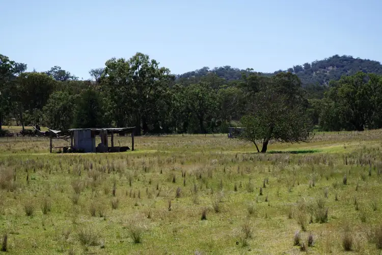 Seventh view of Homely land listing, Lot 357 Carpet Street, Wallabadah NSW 2343