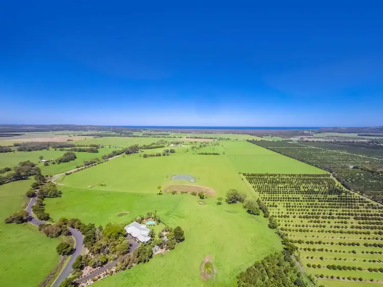Third view of Homely house listing, 172 Martins Lane, Knockrow NSW 2479