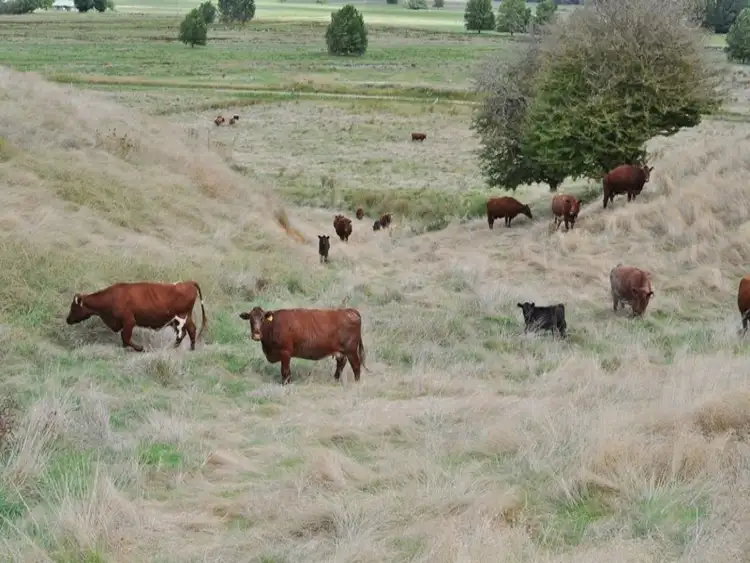 Fourth view of Homely rural property listing, . Mitta North Road, Mitta Mitta VIC 3701