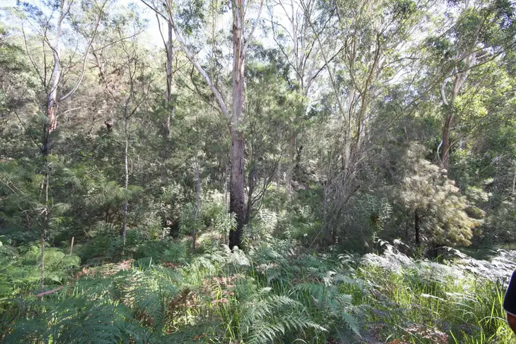 Seventh view of Homely land listing, 365 St Albans Road, Lower Macdonald NSW 2775