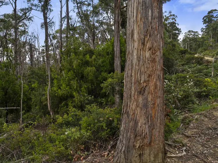 Fourth view of Homely land listing, 245512/1 Kellys Road, Cradoc TAS 7109