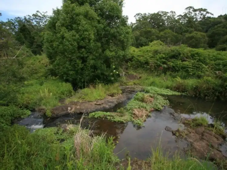 Fourth view of Homely rural property listing, 514 Flaxton Drive, Montville QLD 4560