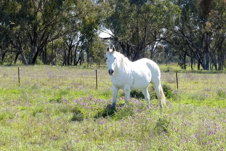 Third view of Homely land listing, Address available on request