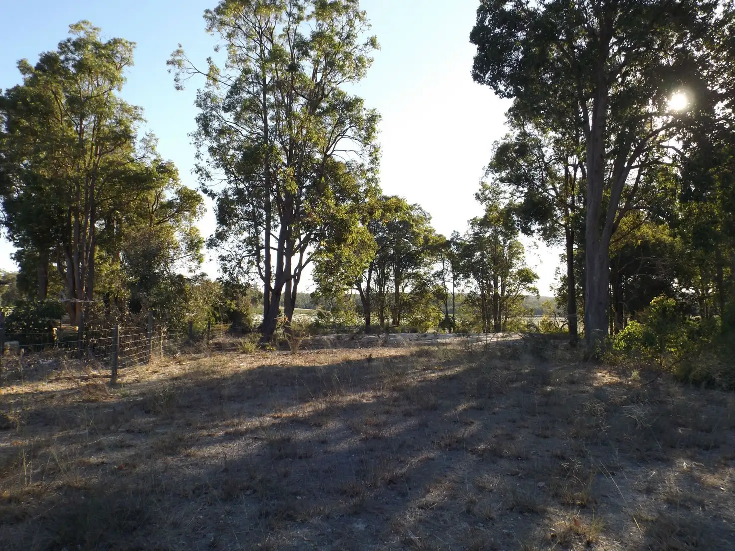 Main view of Homely land listing, 7 Mulga Grove, Donnybrook WA 6239