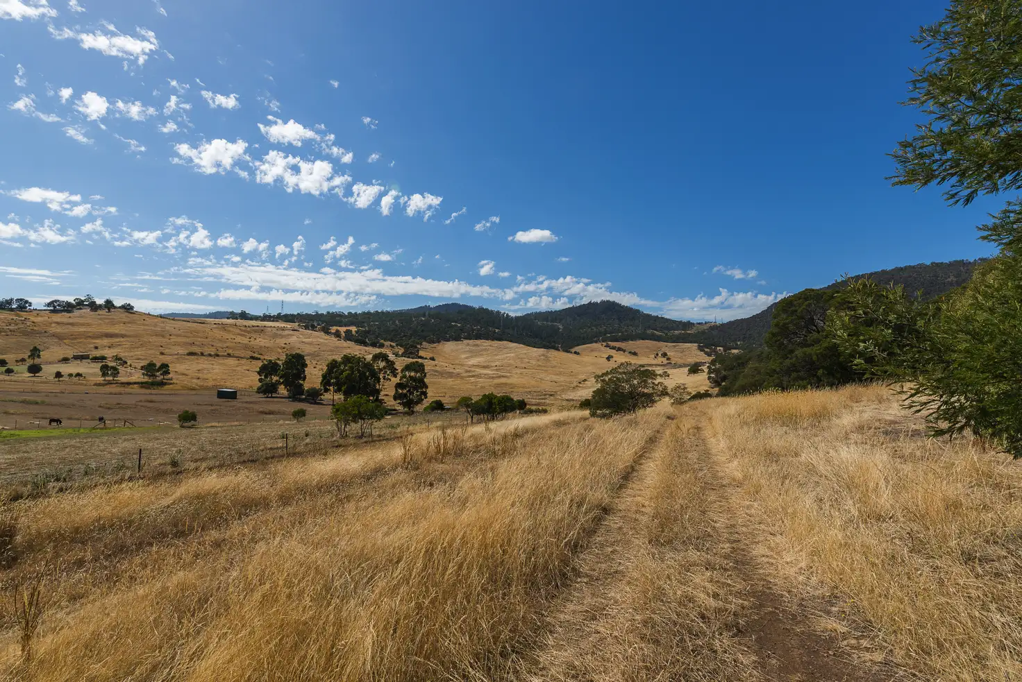 Main view of Homely land listing, 42 Baskerville Rd, Old Beach TAS 7017