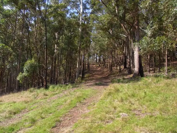 Third view of Homely rural property listing, L242 Jenny Lane, Nethercote NSW 2549