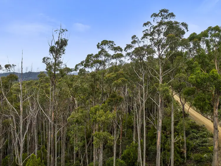 Fifth view of Homely land listing, 245512/1 Kellys Road, Cradoc TAS 7109