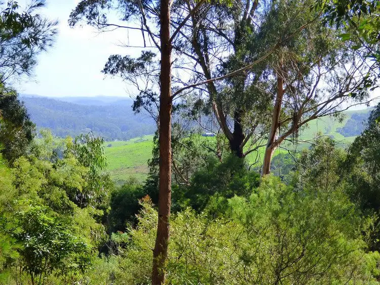 Second view of Homely rural property listing, Lot 37 Via Ruggs Road, Nethercote NSW 2549