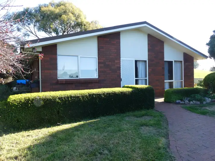 Second view of Homely house listing, 99 Coxs Rd, Red Hills TAS 7304