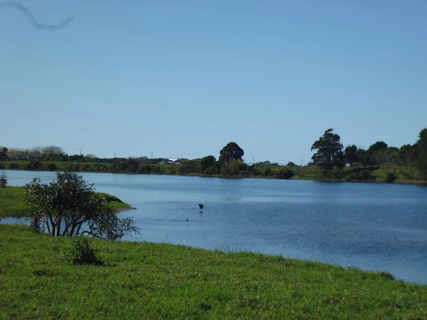 Main view of Homely rural property listing, 781 Pacific Highway, Frederickton NSW 2440