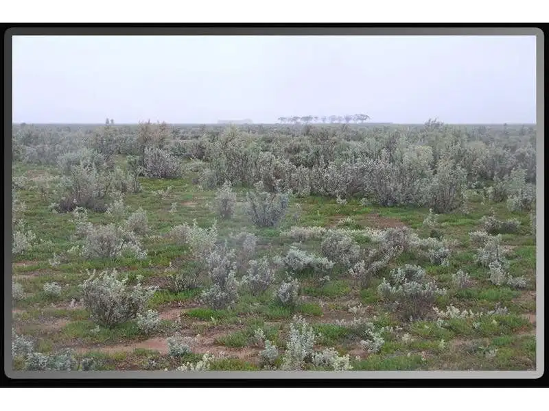 Main view of Homely rural property listing, L785-786 Aerodrome Road, Port Pirie SA 5540