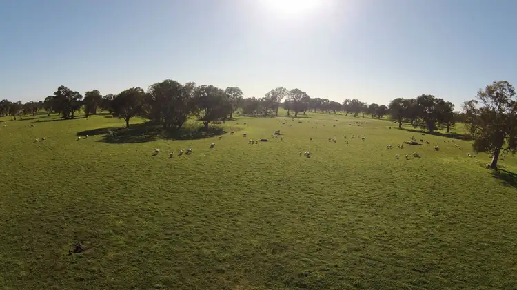 617 Millers Lane, Penola SA 5277