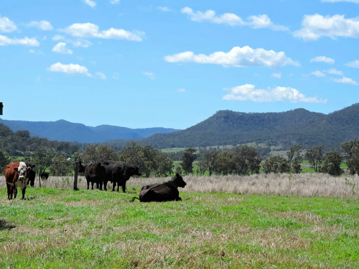 Main view of Homely rural property listing, Lot 2 & 3 Inverramsay Road, Goomburra QLD 4362