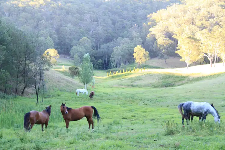 Second view of Homely rural property listing, 1 Yengo Drive, Putty NSW 2330