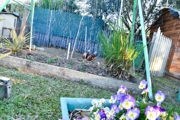 Fifth view of Homely house listing, 4 Birrell Street, Leichhardt QLD 4305