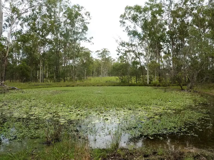 Third view of Homely rural property listing, 7 Paterson Road, Paterson QLD 4570