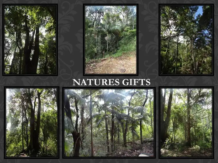 Fifth view of Homely rural property listing, Address available on request