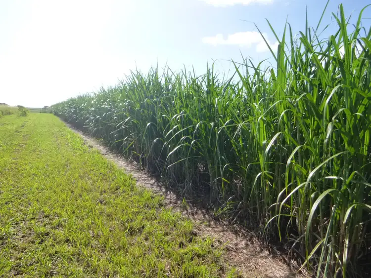 Sixth view of Homely rural property listing, Address available on request