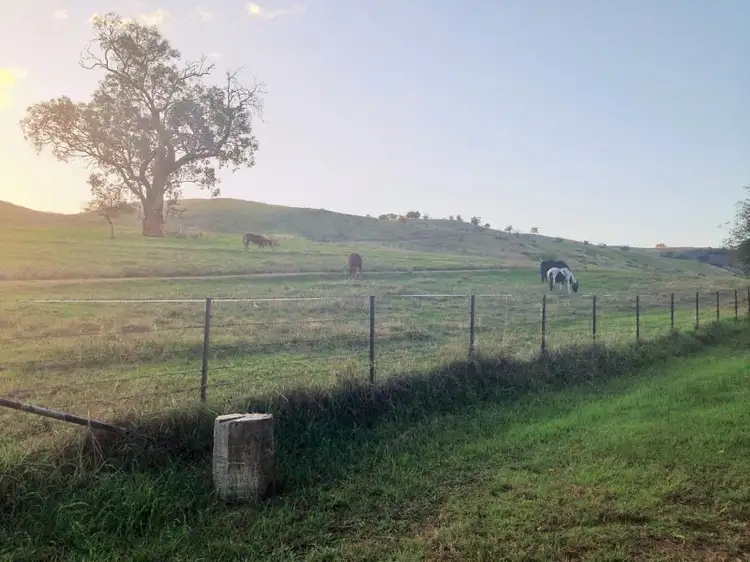 Main view of Homely rural property listing, 5a Hollow Street, Bethanga VIC 3691