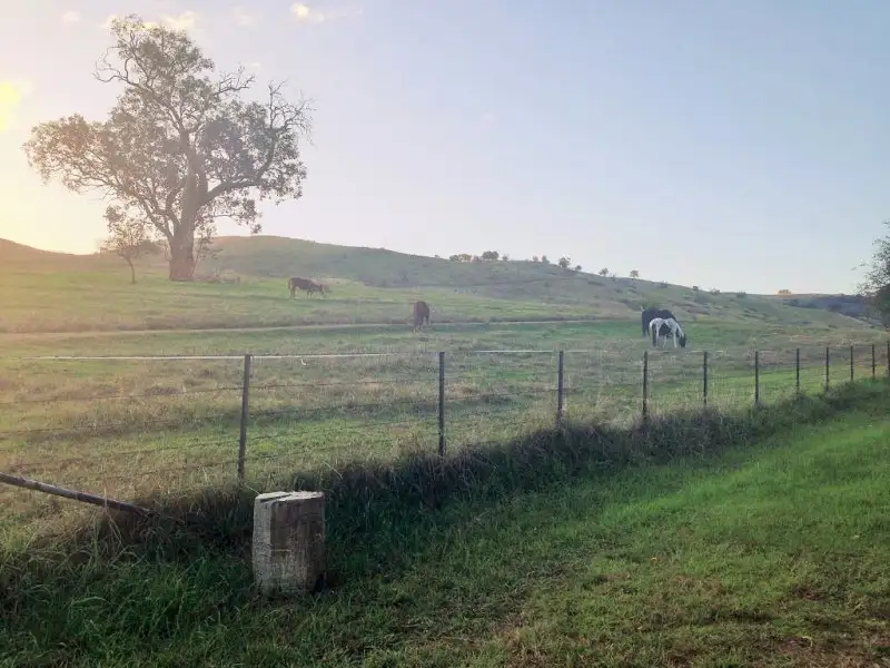 Main view of Homely rural property listing, 5a Hollow Street, Bethanga VIC 3691