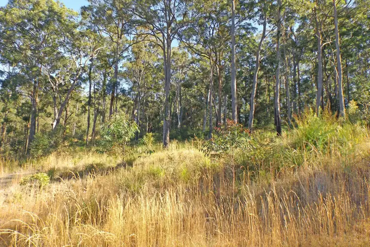 Third view of Homely land listing, L17 Glider Spur, Kew NSW 2439