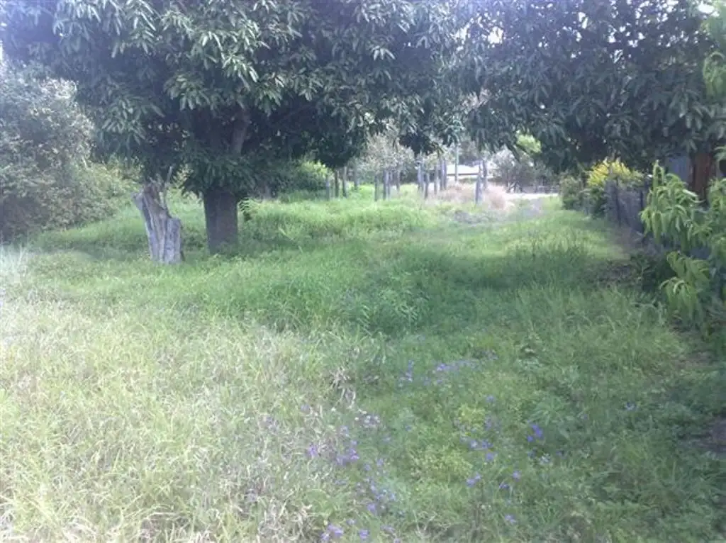 Main view of Homely land listing, 6 Henry Street, Mount Morgan QLD 4714