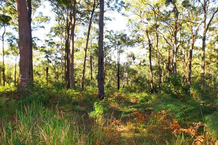 Third view of Homely land listing, L50 Glider Spur, Kew NSW 2439