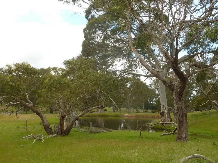 Second view of Homely rural property listing, 58 Stephens Road, Inman Valley SA 5211