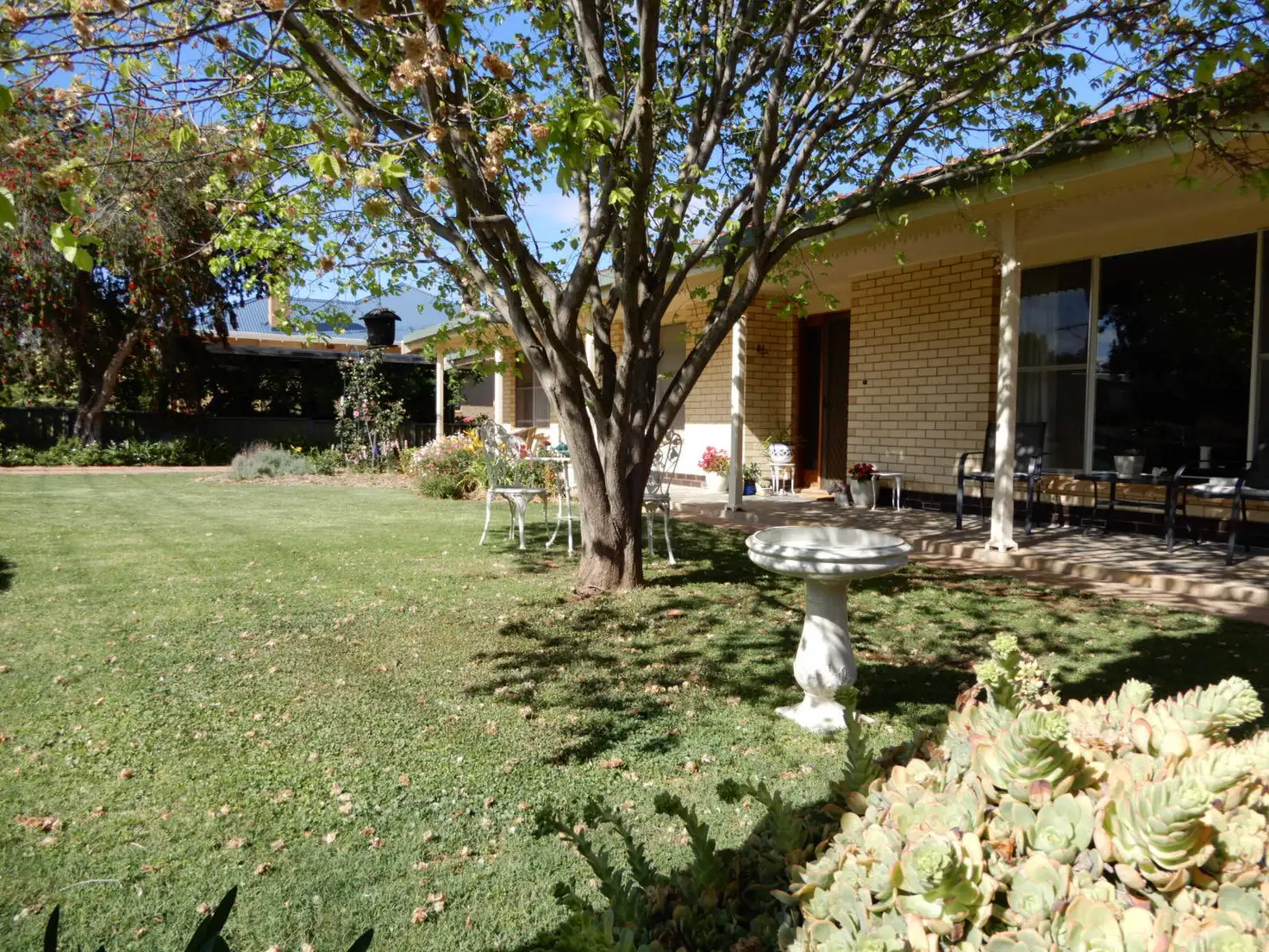 Main view of Homely house listing, 20 Avice Street, Booleroo Centre SA 5482