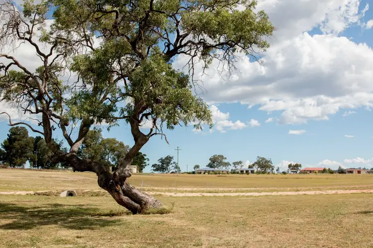 L29 Talbragar Close, Inverell NSW 2360