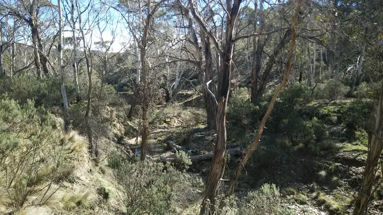 Sixth view of Homely rural property listing, 1685 Jerangle Road, Bredbo NSW 2626
