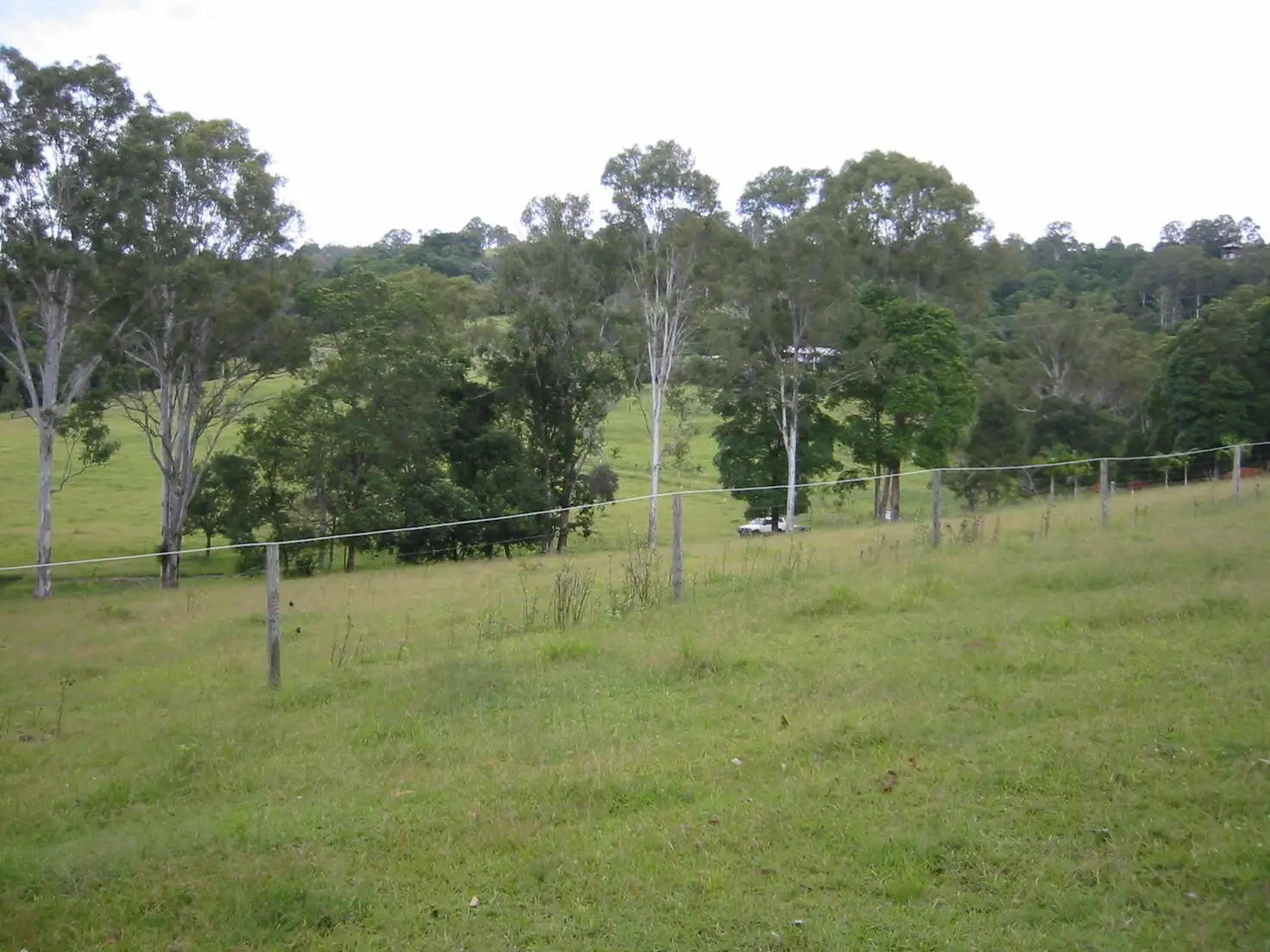 Main view of Homely land listing, 99 Simba Road, West Woombye QLD 4559