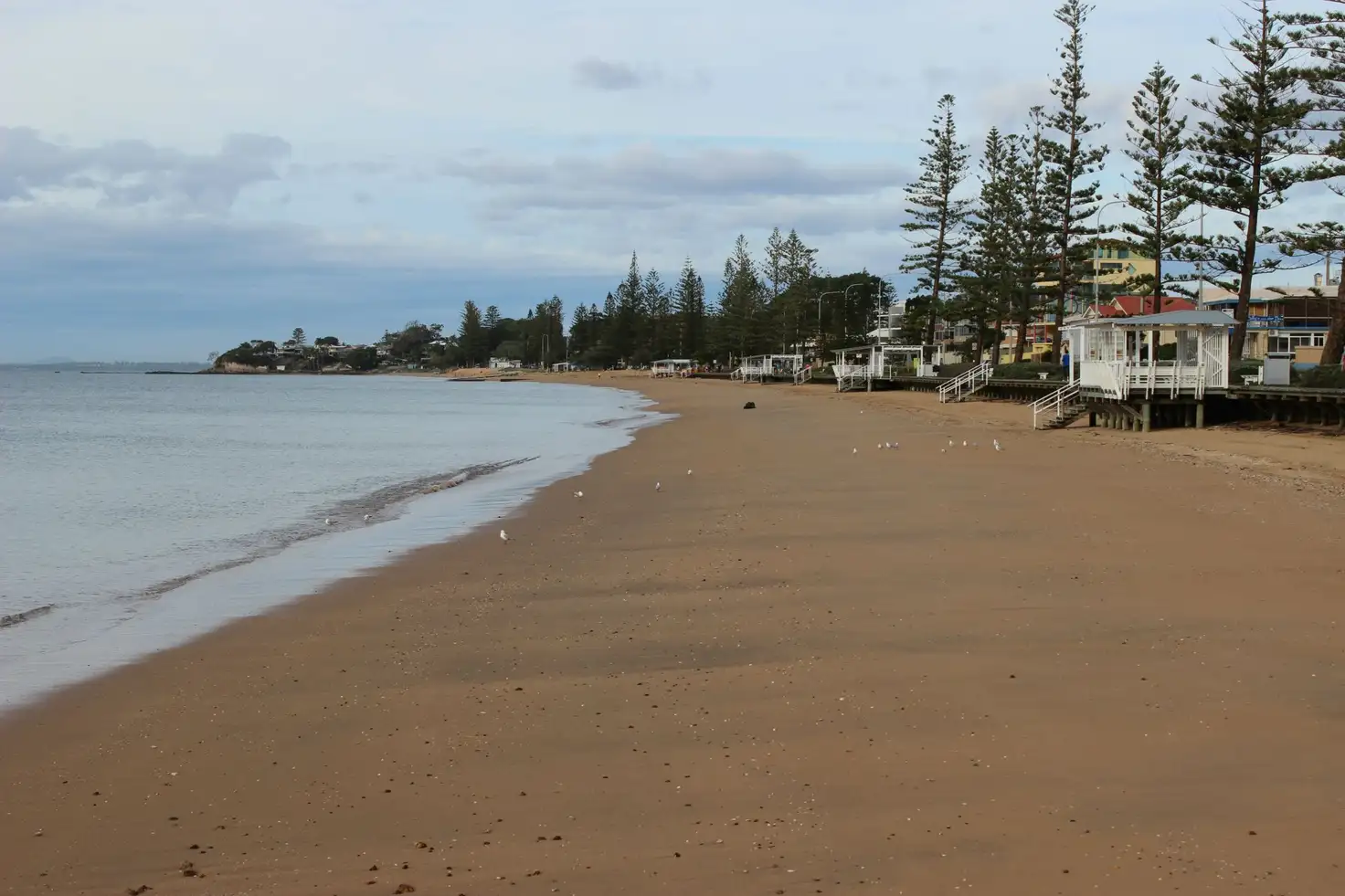 Main view of Homely house listing, 17 Sydney Street, Redcliffe QLD 4020