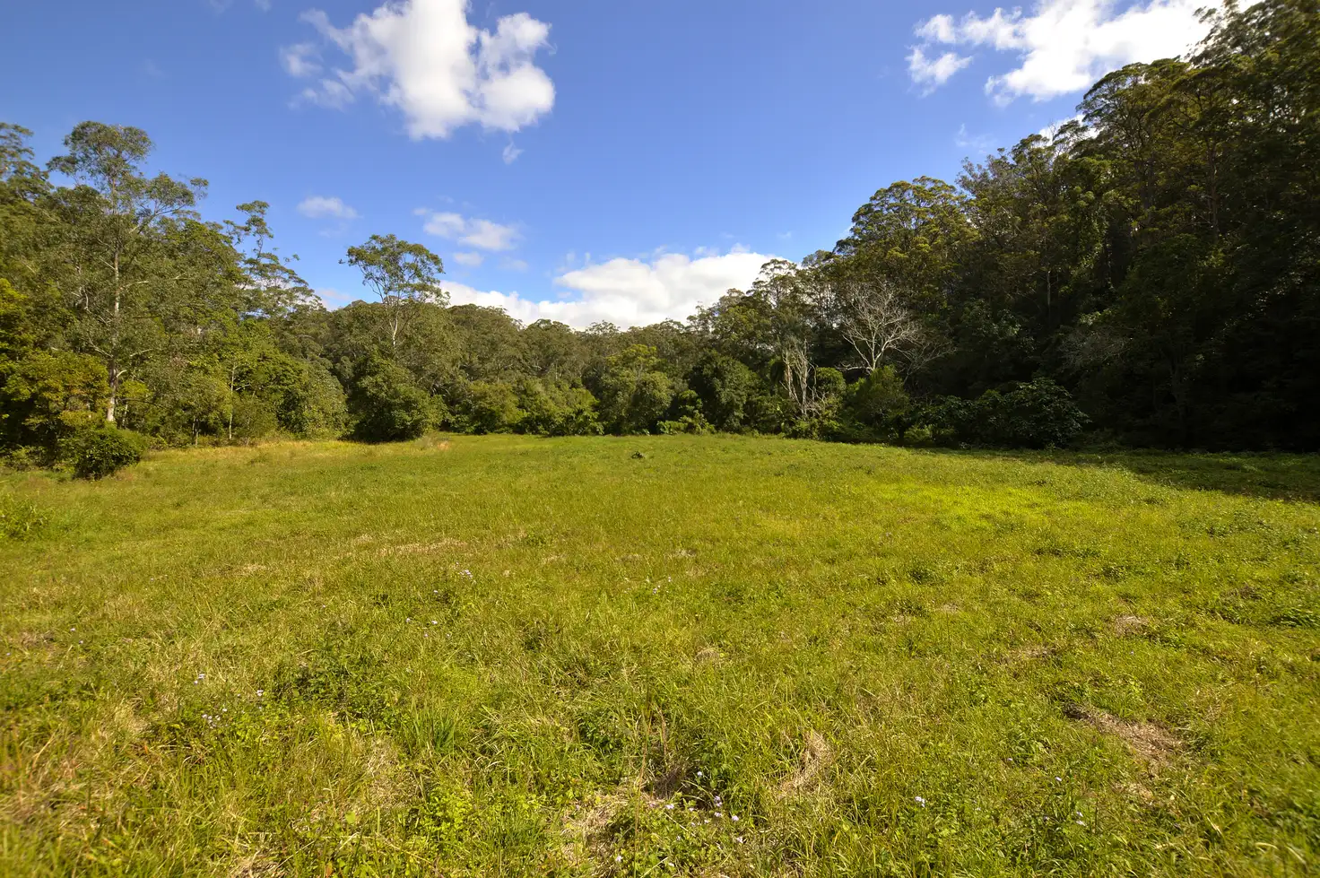 Main view of Homely land listing, 20 Ramberts Rd, Eudlo QLD 4554