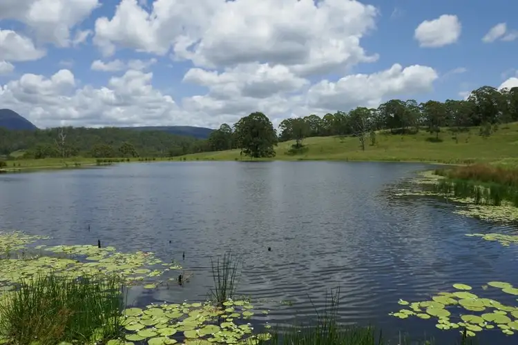 Fifth view of Homely rural property listing, 4294 Summerland Way, Kyogle NSW 2474
