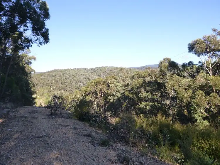 Fourth view of Homely rural property listing, Lot 964 Mt Darragh Road, Lochiel NSW 2549