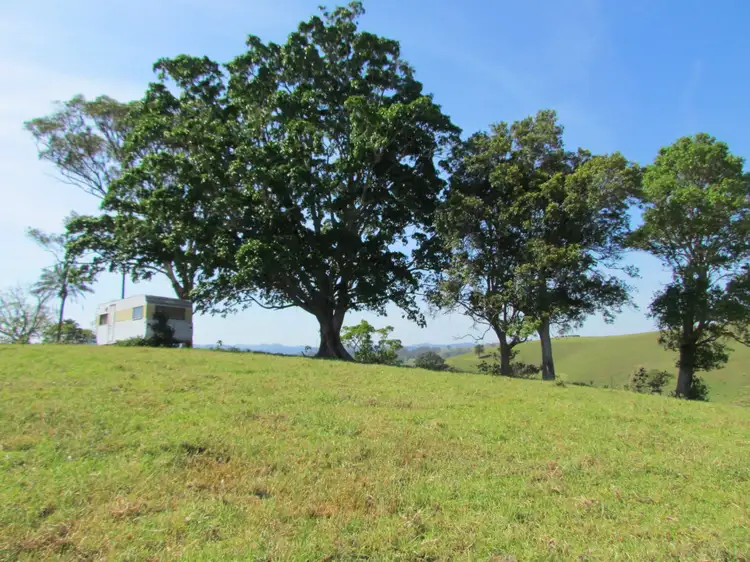 Seventh view of Homely rural property listing, 782 Bunyah Road, Bunyah NSW 2429