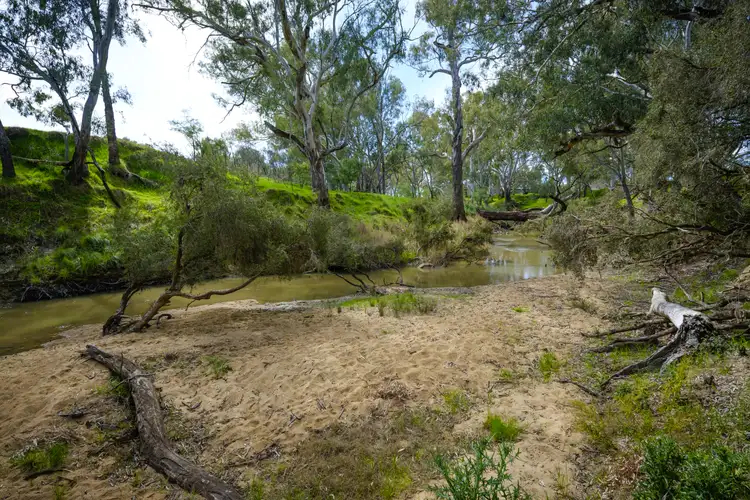 Seventh view of Homely rural property listing, 1027 Walbundrie Rd, Culcairn NSW 2660