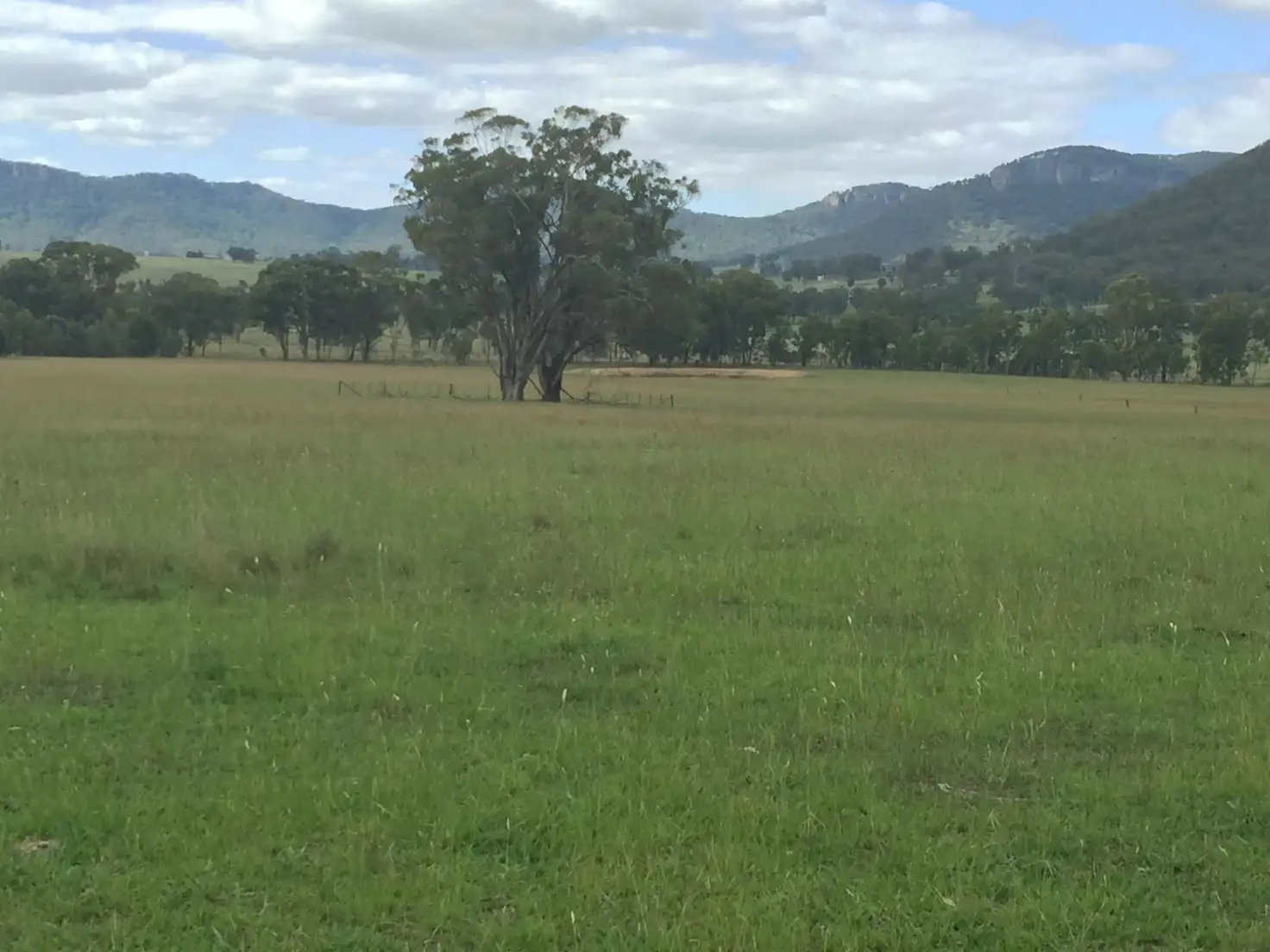 Main view of Homely rural property listing, 1977/Lot 14 Dunville Loop Road, Rylstone NSW 2849