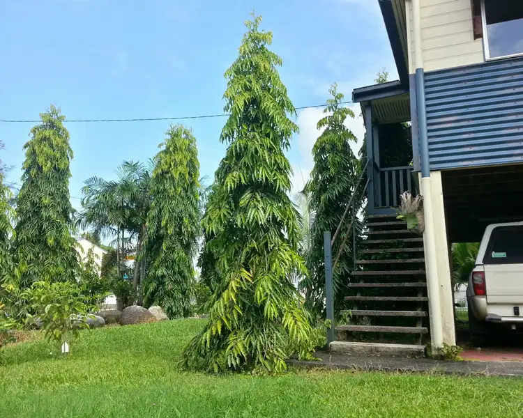 Third view of Homely house listing, 3 Walter Lver Road, Silkwood QLD 4856