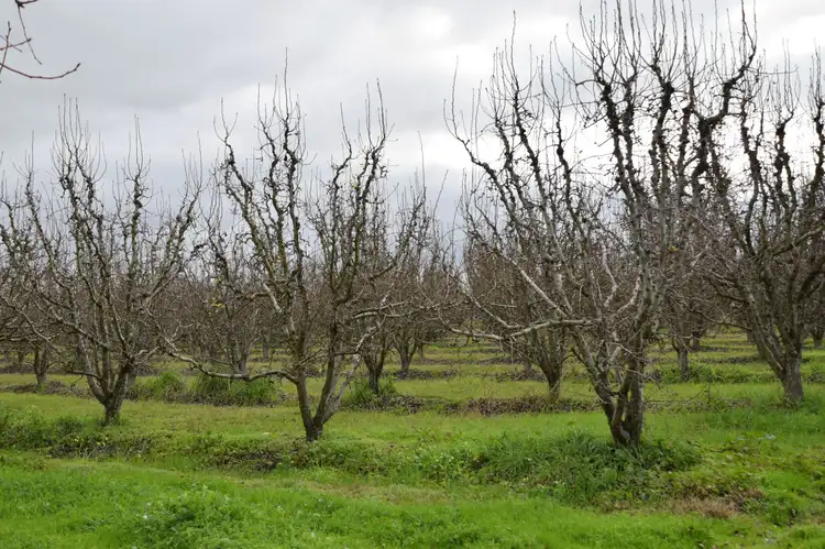 Fourth view of Homely rural property listing, 120 Prentice Road, Orrvale VIC 3631