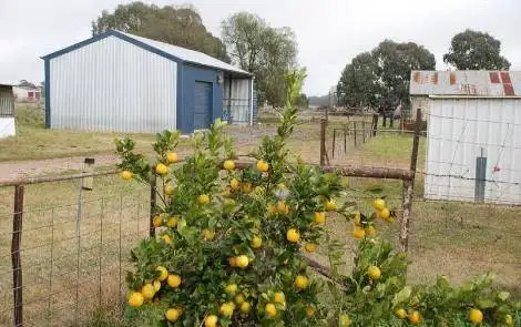 Second view of Homely rural property listing, 445 Up River Road, Carlyle VIC 3685